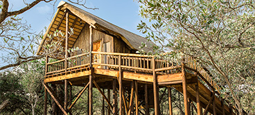 Self catering tree house