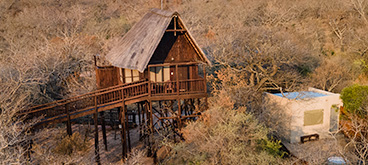 Zebra self catering tree house with private kitchen