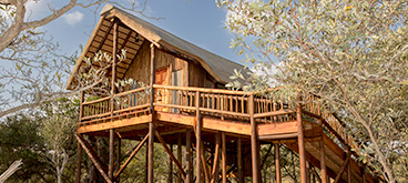 Tree House accommodation near Kruger